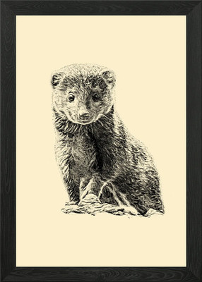 Mungo gerahmtes Wandbild Poster Leinwanddruck Bild