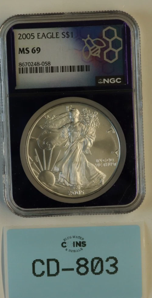 American Eagle MS 69 Graded 2005 Silver Bullion Coins for sale | eBay