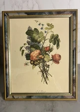 Vintage J. L. Prevost French Artist Botanical Roses Print  Framed
