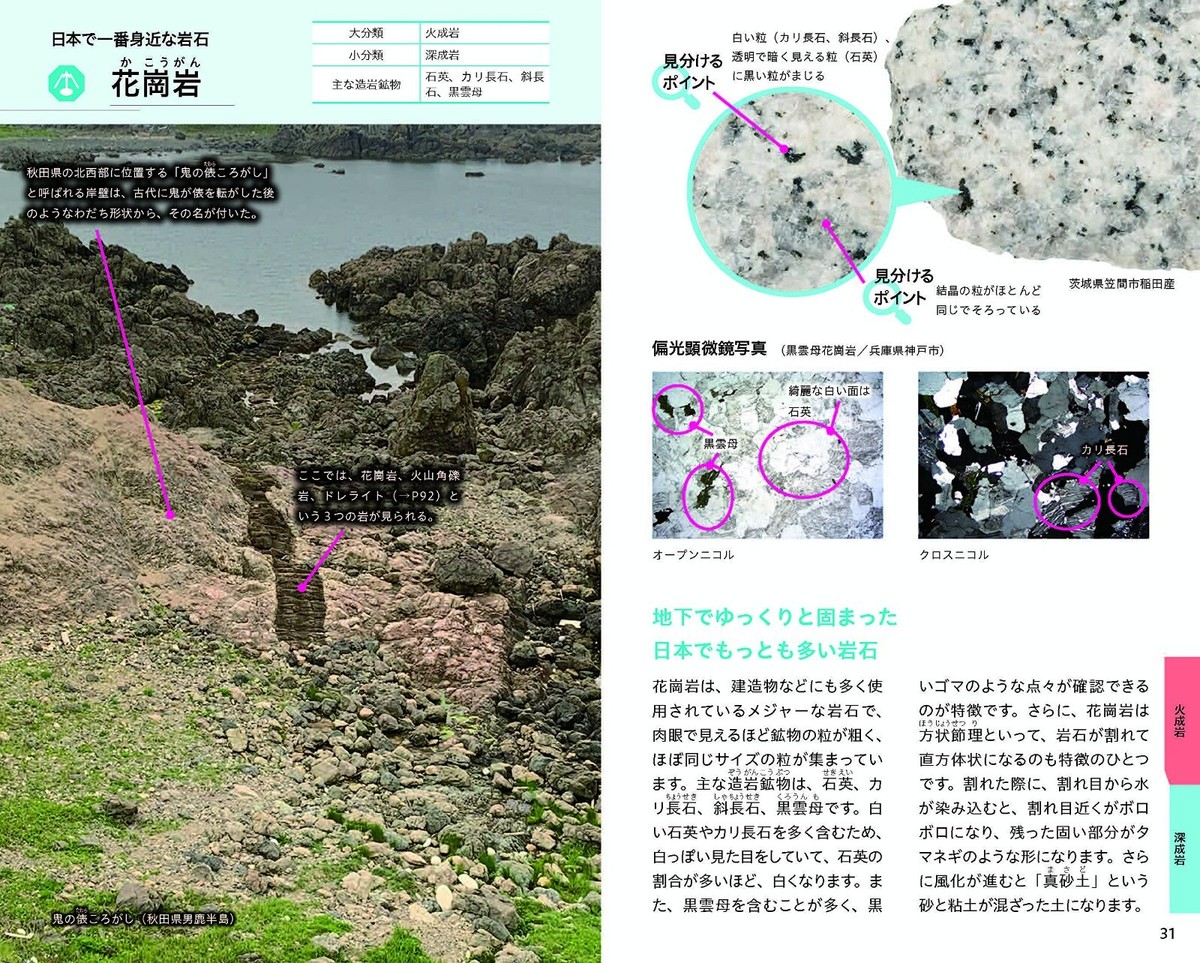 Visual Dictionary Book of Rocks & Minerals Field Guide Japan