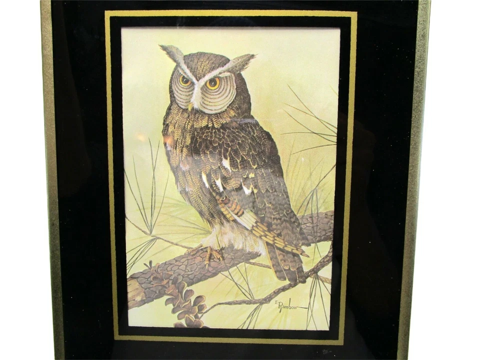 Reloj de Pared Litografía Búho Vintage Raro Años 70 E Rambow Foto 4 de 4