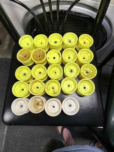 Vintage Losi Rims - Picture 8 of 15