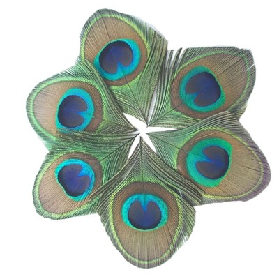 Handmade Hair Clip Peafowl Feather Appliques Headbands Kits Crafting Supply