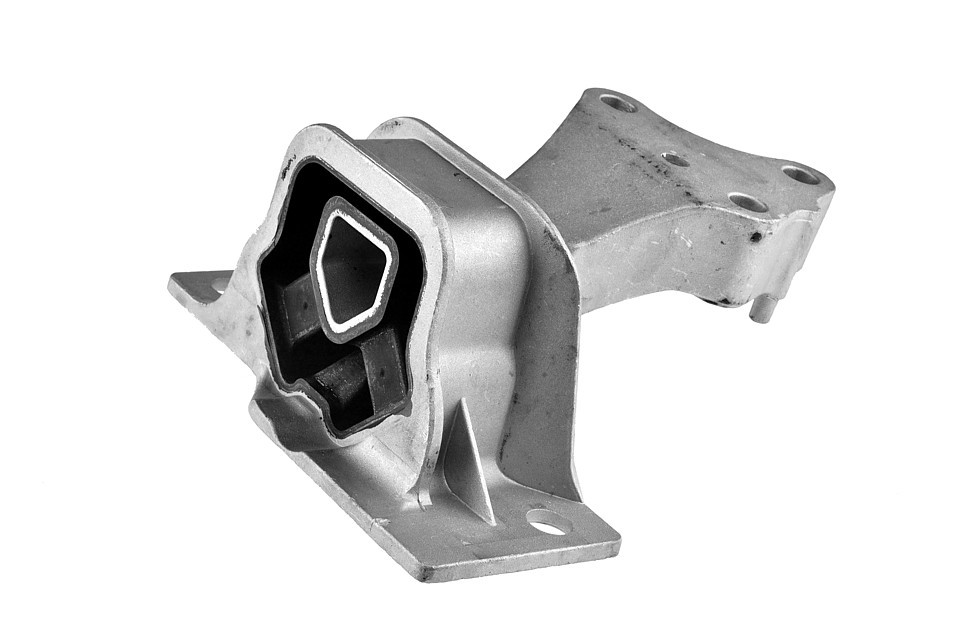 NTY ZPS-RE-021 Engine Mounting for RENAULT - Image 3