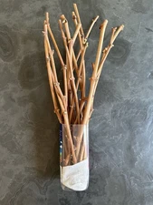 5 Cuttings of Organic Green Concord Moscato Vines NON ROOTED