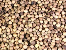 Organic White Peppercorns QAI  Pepper corn 1 ounce to 1 pound size Piper nigrum
