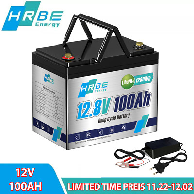 12V 100AH 200AH 300AH LiFePO4 Lithium Batterie Mini BMS Low-Temp Schutz Solar RV