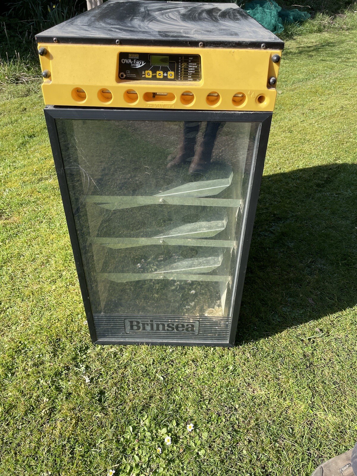 Brinsea OvaEasy 190 Advance Incubator eBay