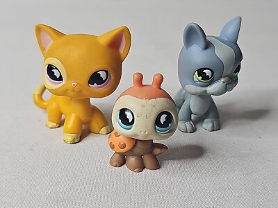 小物 Katie PET LOVIN' tippet Amazon.com: M JJYPET Cat Wand Toys Interactive Kitten Toys