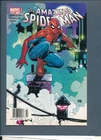 Amazing Spider-man 489 Newsstand Variant NM 9.4  2003