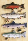 Color Chart of SOUTH BEND Bass-O-Reno Lures Sign with 16" Small mouth Bass — photo 4