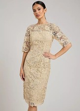Kaleidoscope Champagne Lace Shift Dress - Size 12 - BNWT - RRP £120