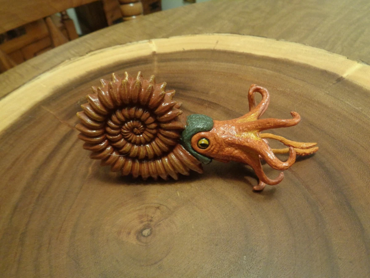 Ammonite online free new arrivals