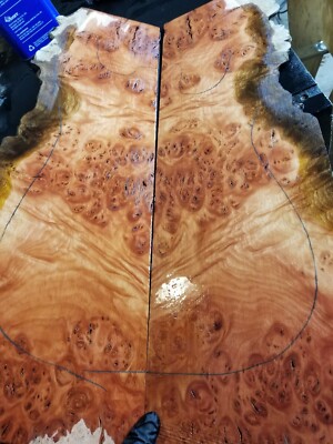 Red eucalyptus burl guitar lumber for Luthier bass craft exotic figured wood 