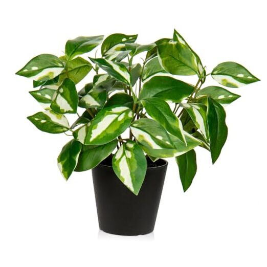 Small Artificial Pothos N Joy Plants in Pots for Indoor Decor-image