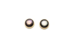 14k Yellow Gold Abalone Stud Earrings