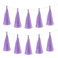 20Stk Hell Lila Quaste Girlande Banner Mit Seil Seidenpapier Quasten
