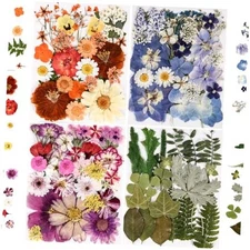 110+PCS Pressed Flowers for Resin molds Real Dried Flower Leaves for Colorful-c