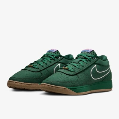 海外限定カラー 正規品NIKE BOOK 1 EP Flagstaff 28.5 Nike Book 1 EP Basketball 'Flagstaff' (FJ4250-300