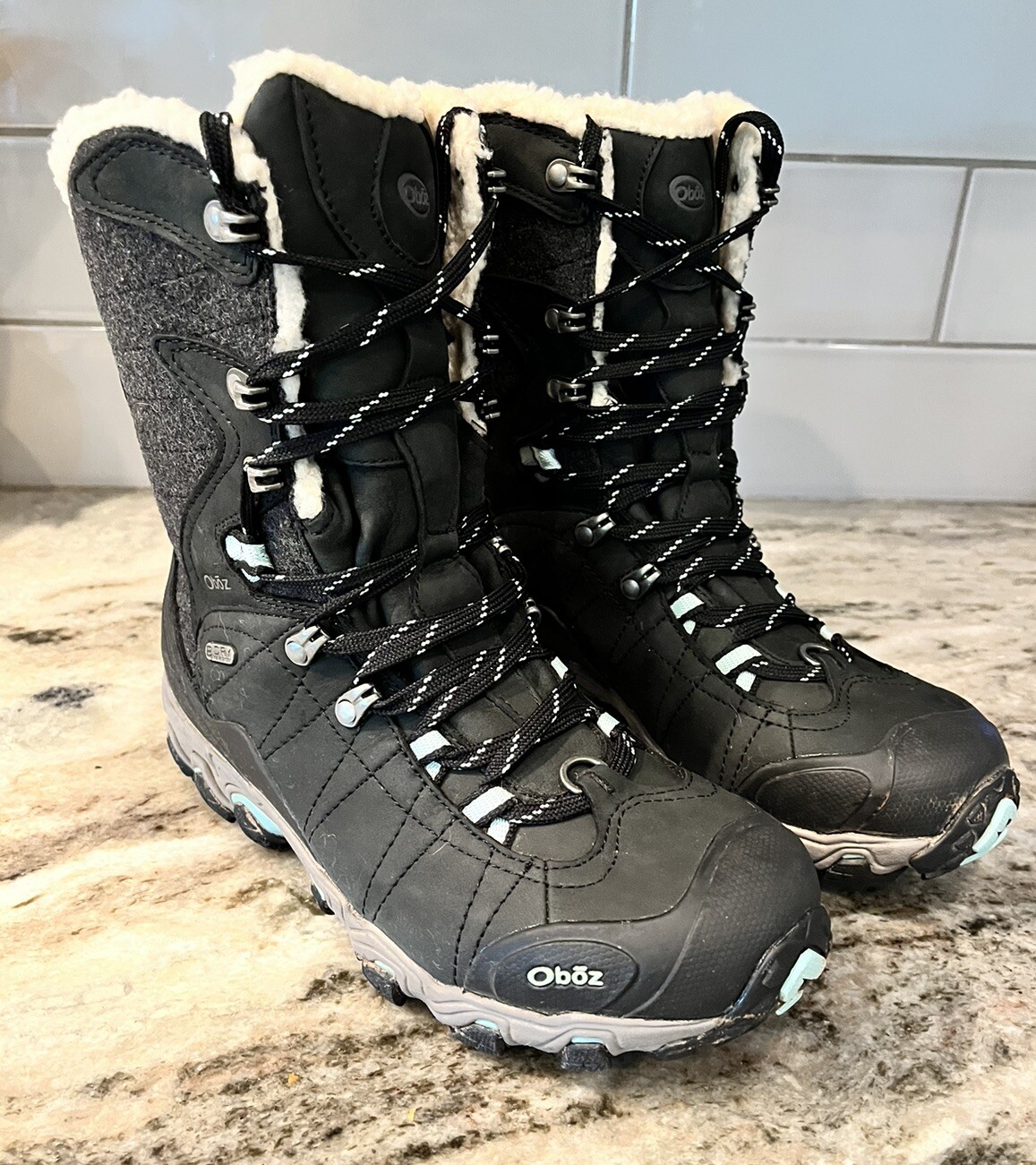 Oboz Bridger 9” Insulated BDRY Winter Hiking Waterproof Snow Boots