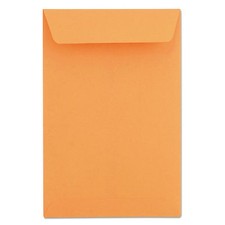 BROWN CRAFT KRAFT BROWN CATALOG ENVELOPE SIZE 6 X 9