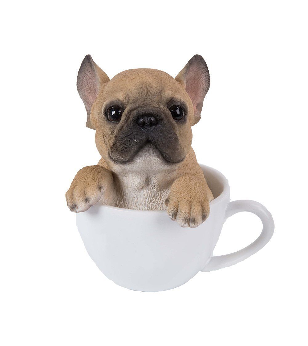 Cute Teacup French Bulldog Puppies