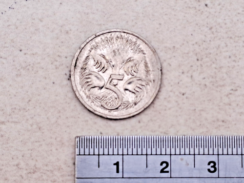1976 5 cent Echidna Australian Coin Queen Elizabeth 99p Start