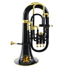Bb 4-Valve Euphonium Brass Musical Instrument with Mouthpiece and Hardcase
