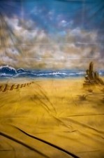 10 X 20 PHOTOGRAPHY BACKDROP BEACH SCENE