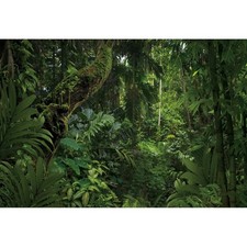 10x8ft Jungle Forest Photography Backdrop for Outdoorsy Camping Theme Party B...