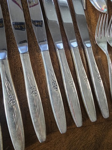 51 Teile Lot Oneida Community Silverplate Enchantment Gentle Rose 1960’s Besteck - Bild 6 von 24