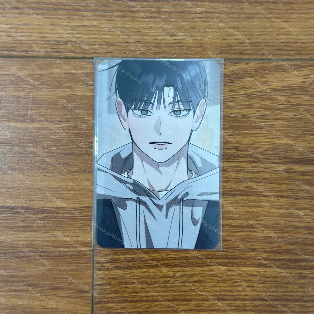 HONGSIL QUEST 홍실퀘스트 MANHWA BL BOYLOVE PHOTOCARD OFFICIAL RED