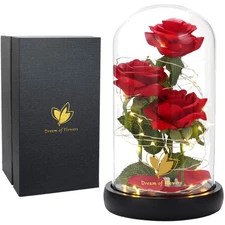 Silk Red Rose in Glass Dome with LED Lights – Perfect for Christmas Gifting