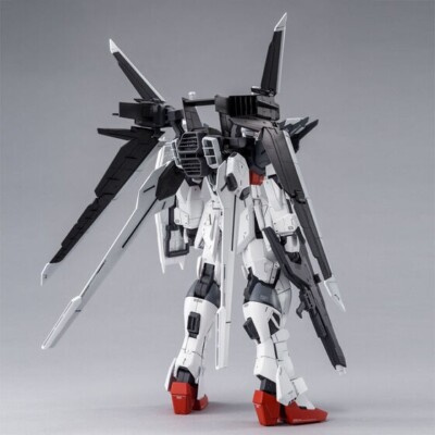 MG 1/100 GUNDAM Ex IMPULSE PREMIUM BANDAI PB SALE ON DECEMBER | eBay