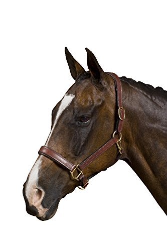 WARNER SPORTS DELUXE MESSING KENNZEICHNUNG ID TAG PLATTE PFERD (PFERDEHALFTER) - Bild 3 von 6