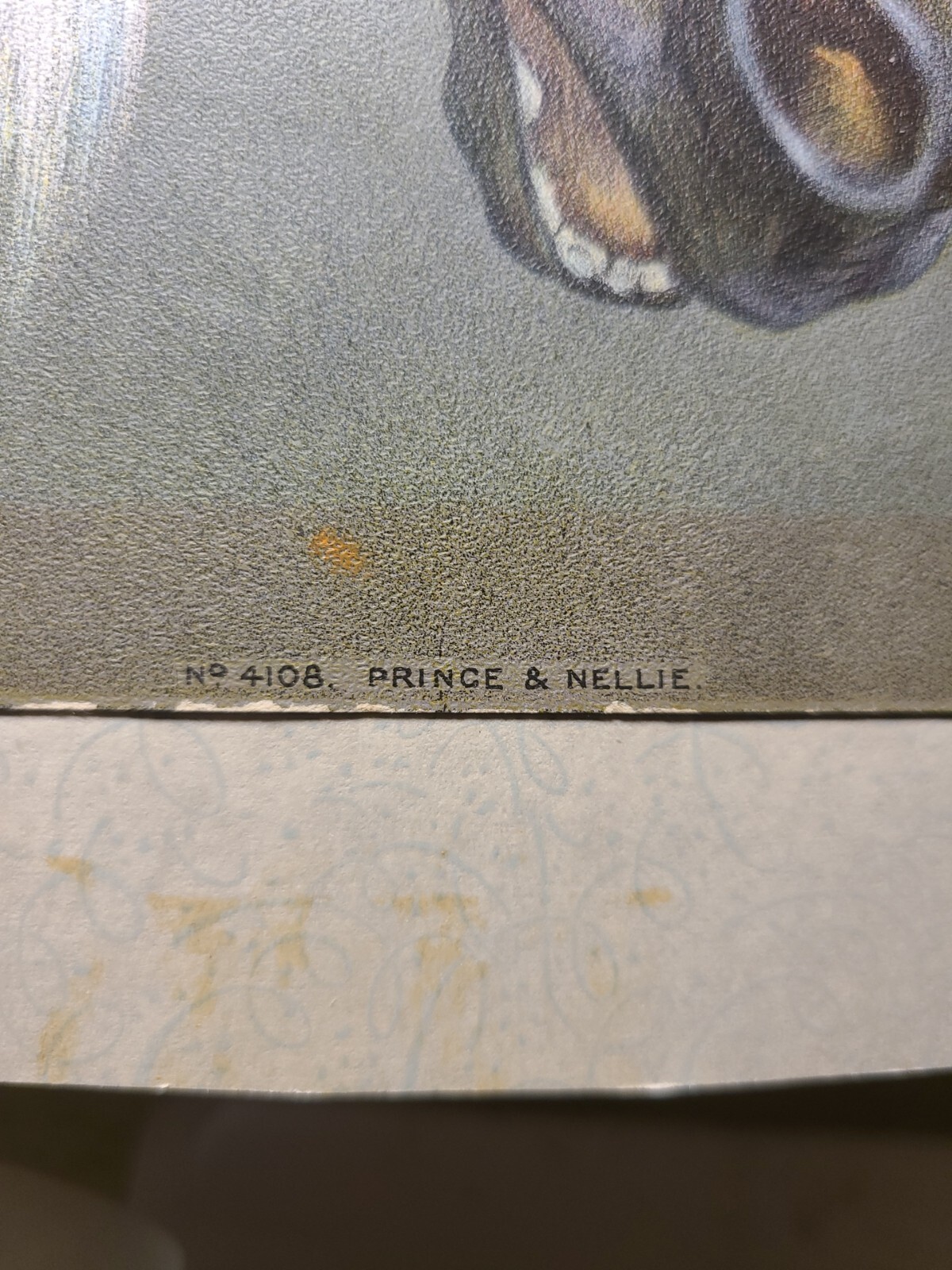 Picture 5 of 18