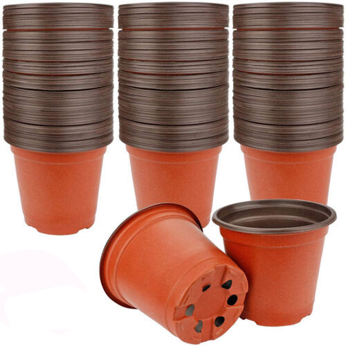 100x Plastic Plant Flower Garden Pots Nursery Seedlings Pot Growing Container AU - Picture 14 of 17