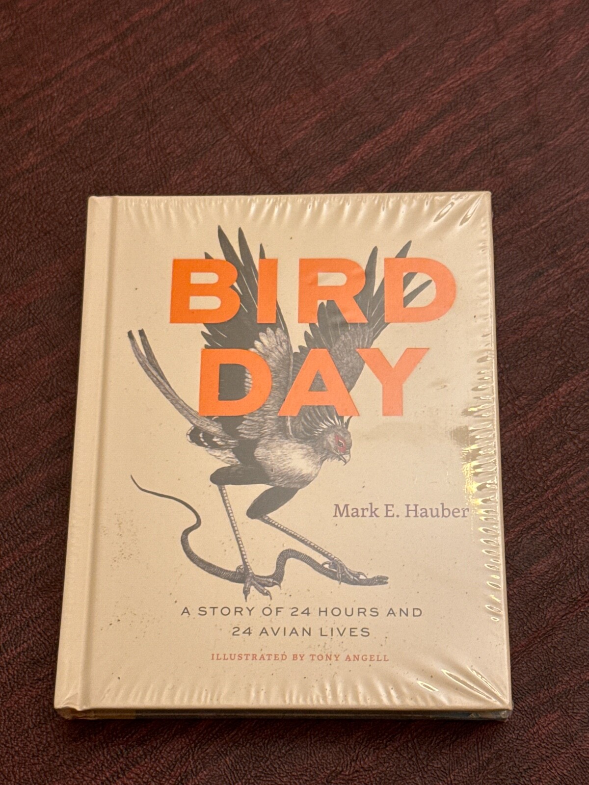 Picture 1 of 7