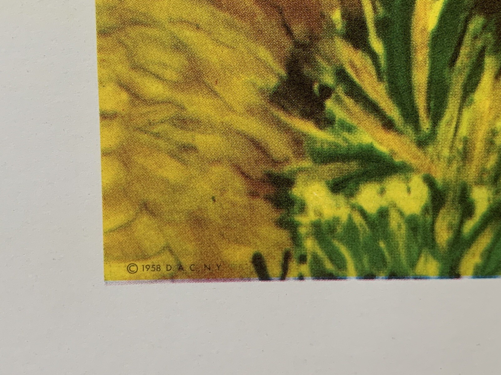 Picture 5 of 9