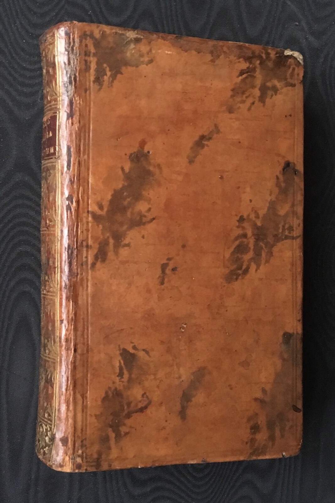 Picture 7 of 7