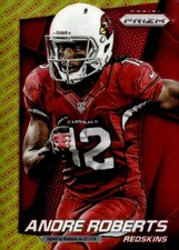 ANDRE ROBERTS 2014 PANINI PRIZM LOGO REDSKINS QZ