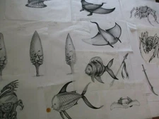 COLLECTION  OF DRAWINGS   DRAGON FISH DESIGN COMIC ILLUSTRATION ART SWORD TREE