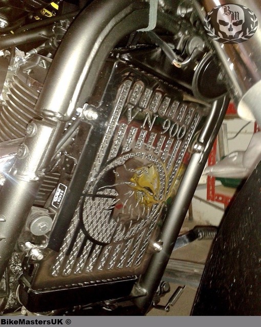 vulcan 900 radiator cover