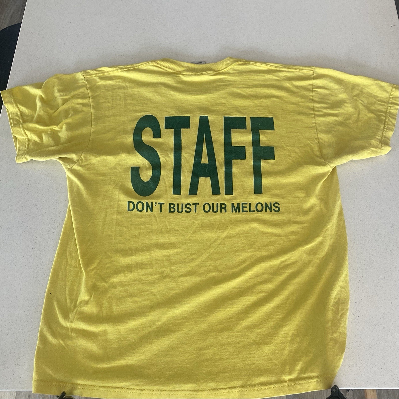 Vintage 2000 Lambda Chi Alpha Watermelon Bust T-S… - image 2