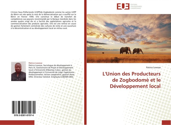 Patrice Lovesse | L'union Des Producteurs De Zogbodomè Et Le DéVeloppement Local-image