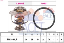 Thermostat Daf 55