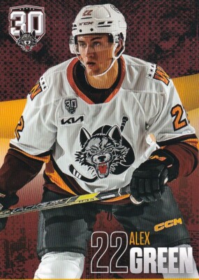 2023-24 Chicago Wolves Alex Green AHL Cornell