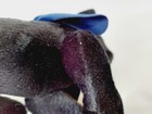 Foto 11 di 14
