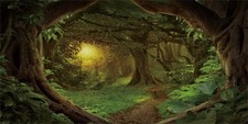 72x24 in Green Tree Forest Terrarium Backdrop for Reptile Habitat Decor