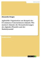 Agilstabile Organisation Am Beispiel Des E-Commerce-Unternehmens Zalando. Wie...